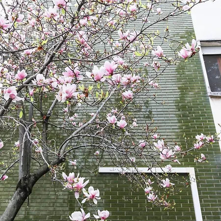 Lägenhet Flytosuite It Con 35 3 Delux