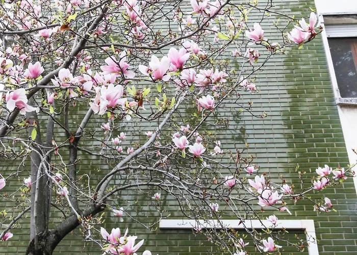 아파트 Flytosuite It Con 35 3 Delux